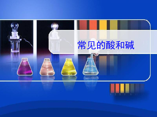 【初中化学】常见的酸和碱PPT课件 人教版