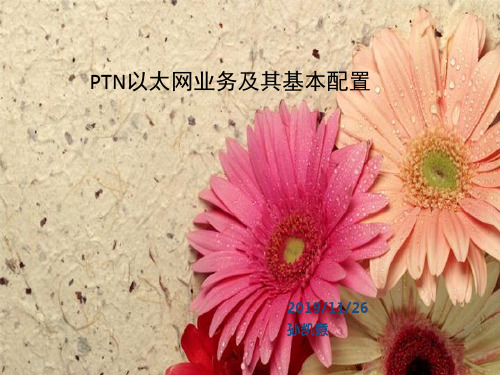 PTN以太网业务及其基本配置