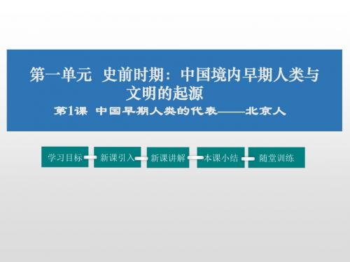 人教版七年级历史上册1.1中国早期人类的代表——北京人