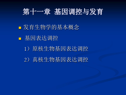 现代遗传学1-12章包括绪论全部课件 (14)
