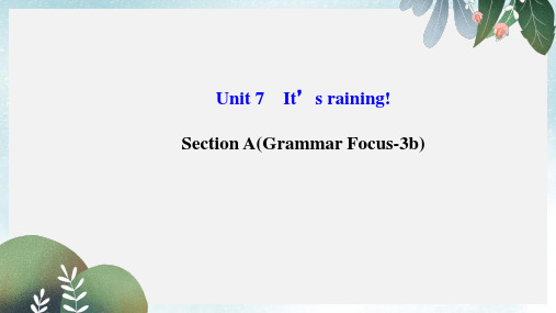 七年级英语下册 Unit 7 It’s raining Section A(Grammar Focus-3b)课件 人教新目标版