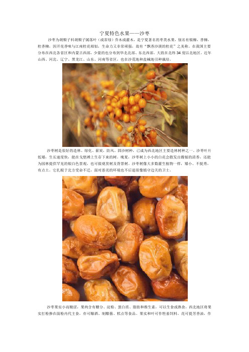 宁夏特色水果——沙枣