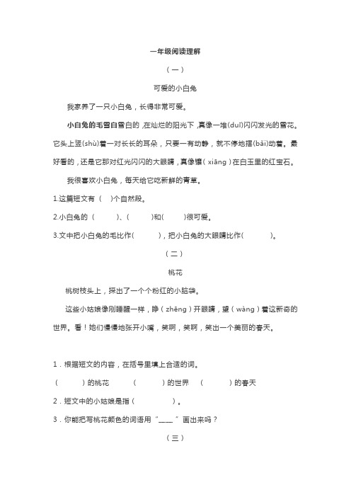 小学生语文阅读理解试题