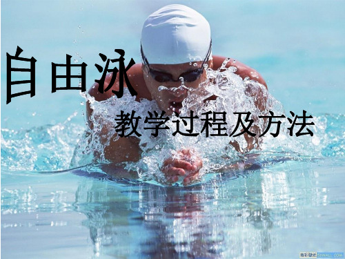 游泳课件