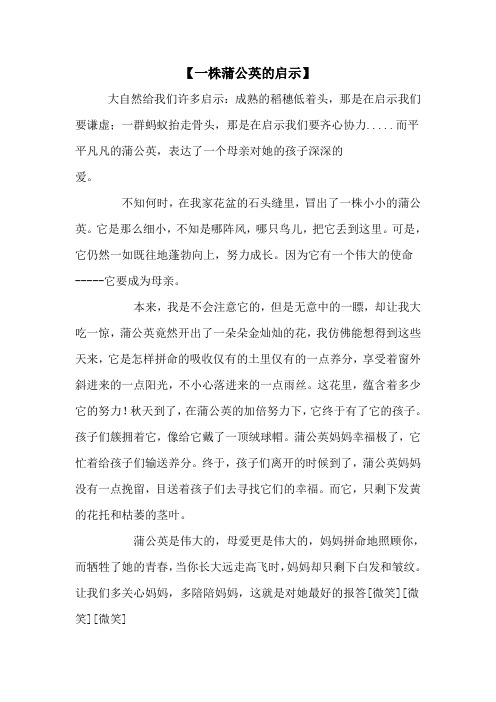 一株蒲公英的启示