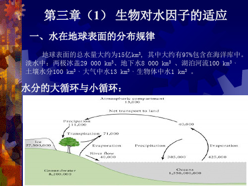 《生态学(Ecology)》第三章(1)生物对水因子的适应