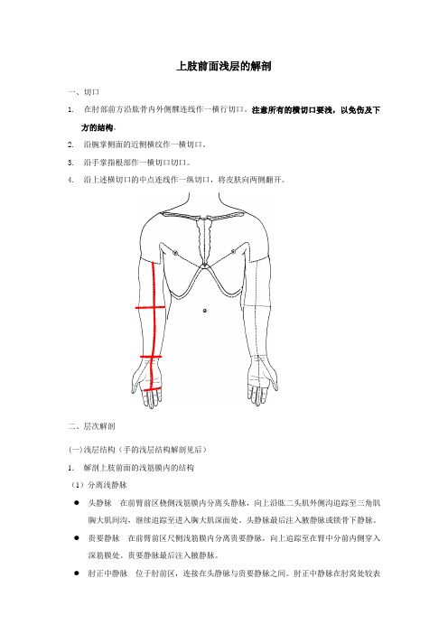 上肢前面的解剖