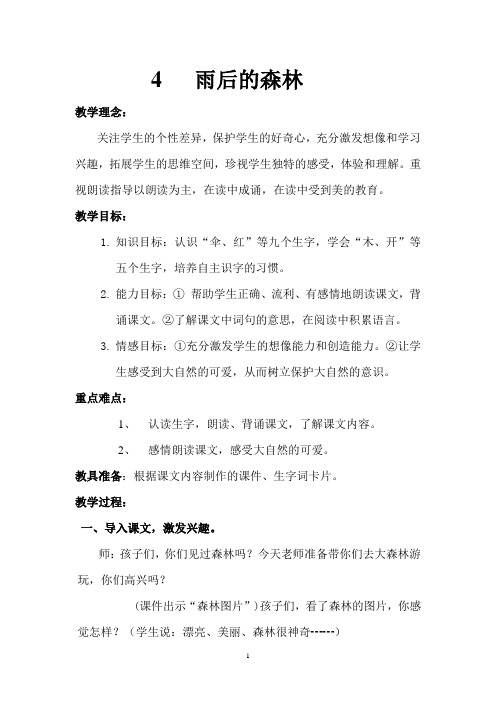 雨后的树林