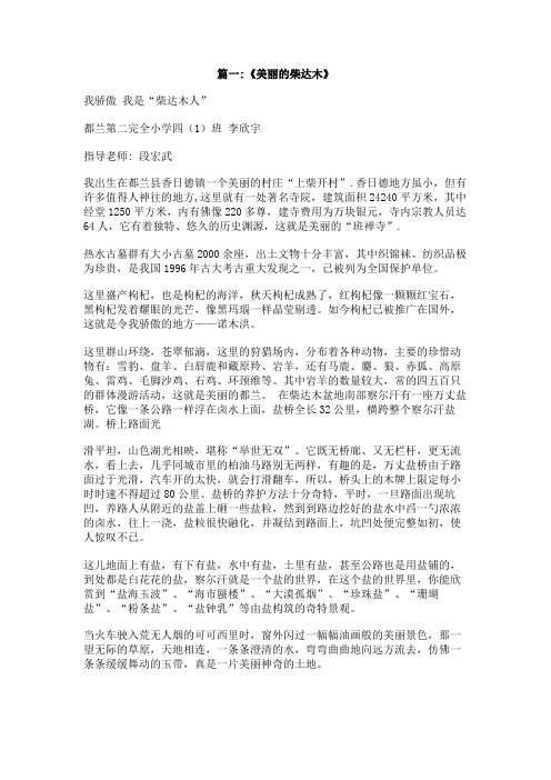 有关柴达木的作文