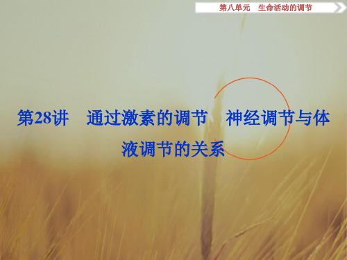 最新-2021高考生物新课标一轮复习课件：第8单元 生命活动的调节 第28讲 精品
