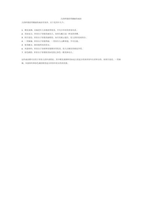 人的样貌清秀靓丽的成语
