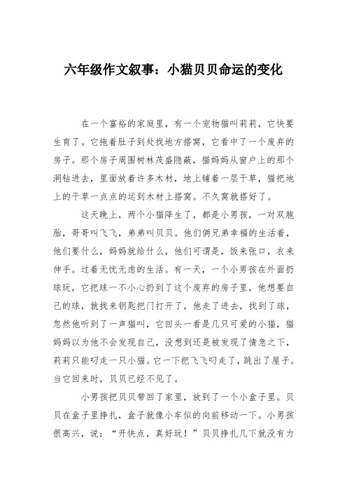 六年级作文叙事：小猫贝贝命运的变化
