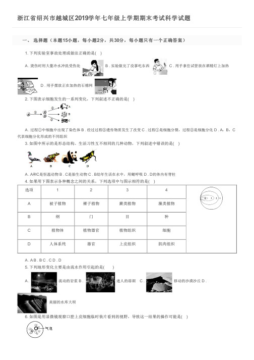 浙江省绍兴市越城区2019学年七年级上学期期末考试科学试题及参考答案