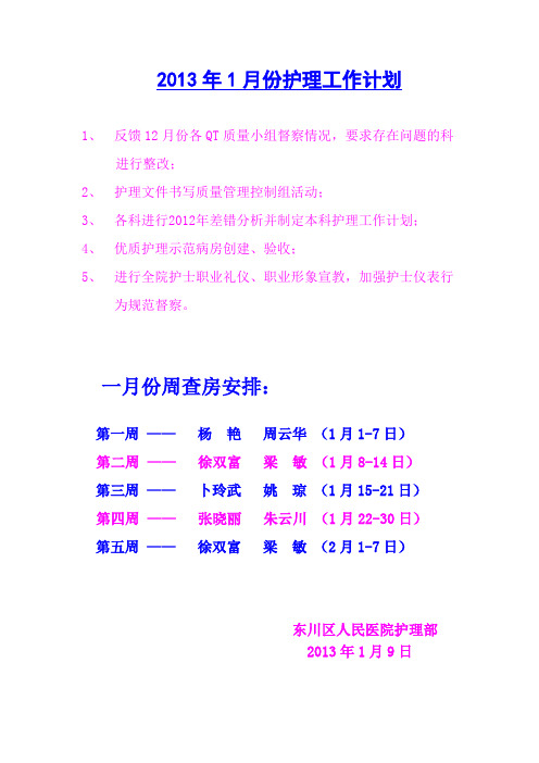 2013年护理工作计划