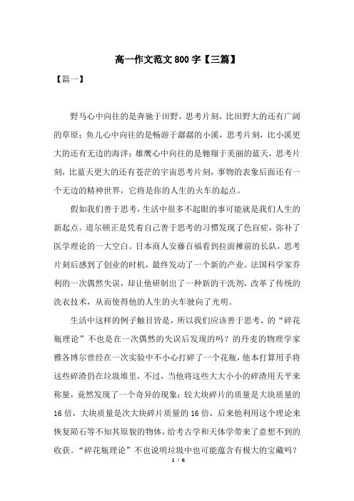 高一作文范文800字【三篇】