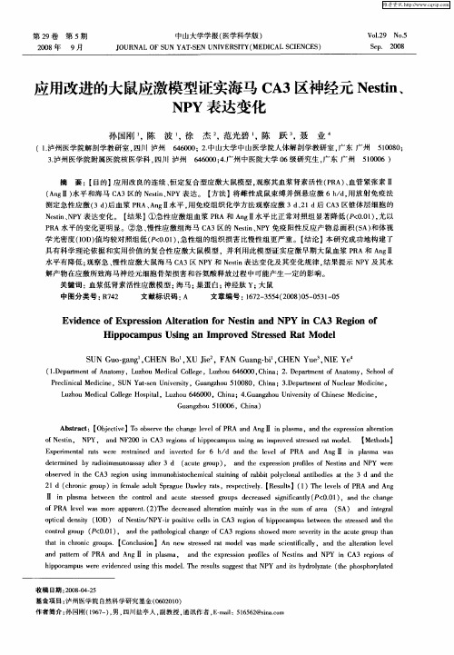 应用改进的大鼠应激模型证实海马CA3区神经元Nestin、NPY表达变化