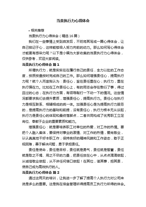 当责执行力心得体会