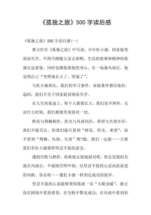 《孤独之旅》500字读后感