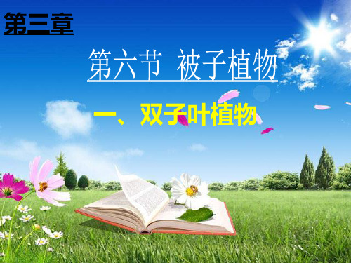冀少儿课标版初中生物七年级上册第一单元 第三章第六节 被子植物(共20张PPT)