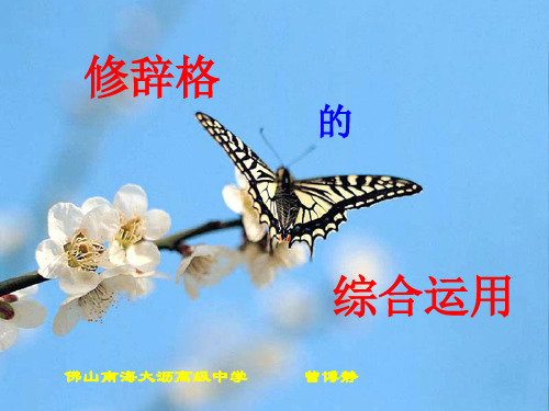 高考复习修辞格的综合运用