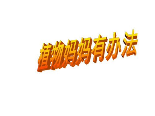 【部编教材】植物妈妈有办法精美版1