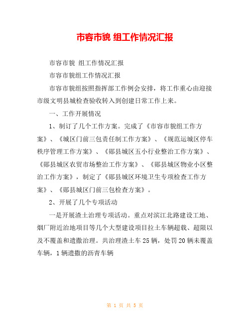 市容市貌 组工作情况汇报