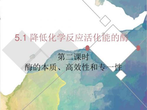 酶的特性