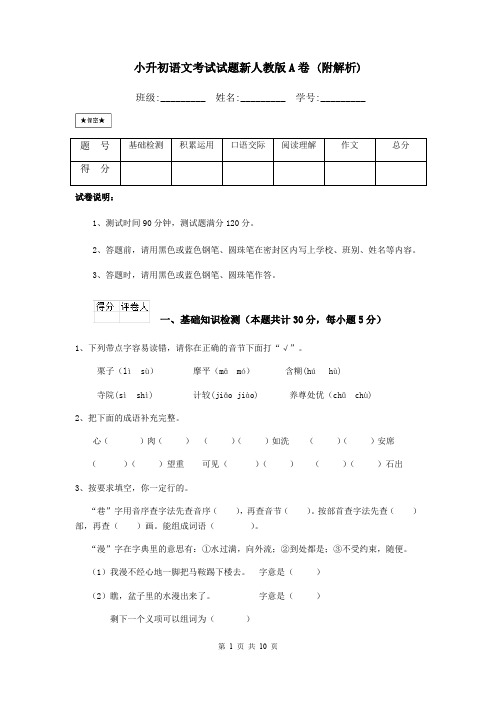小升初语文考试试题新人教版A卷 (附解析)