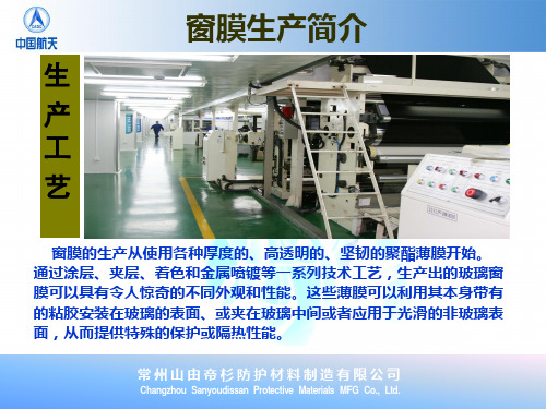 SYDS公司和产品简介
