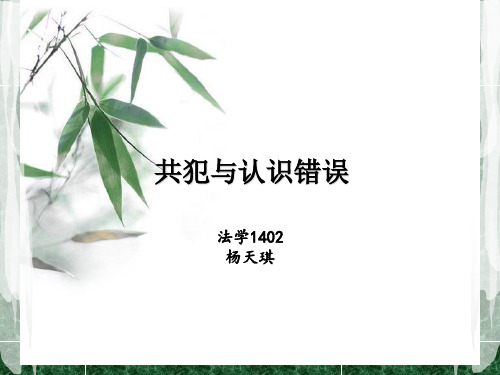 共犯与认识错误