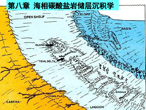 第八章碳酸盐岩储层沉积学特征