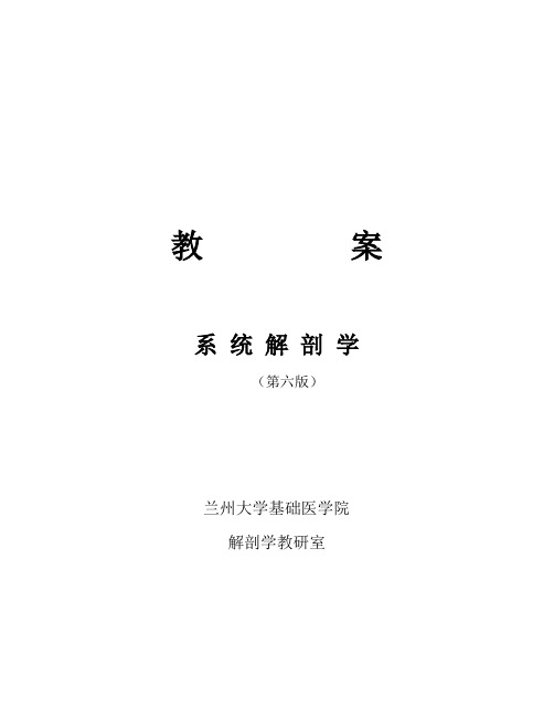 系统解剖学教案3
