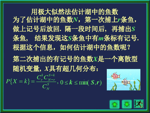 极大似然法估计鱼