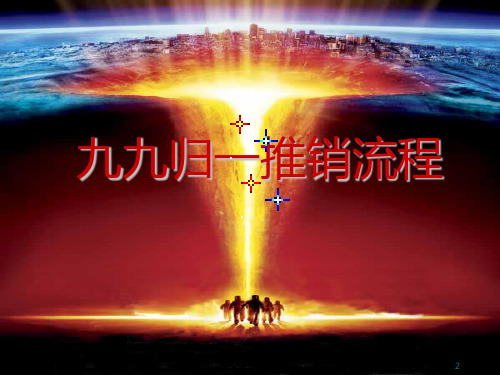 九九归一专业化推销流程--李忠刚