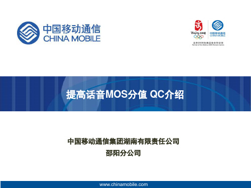 提高话音MOS分值(最终版)