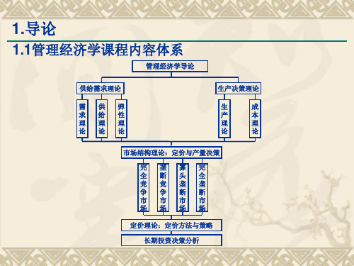 管理经济学(1)-导论共28页