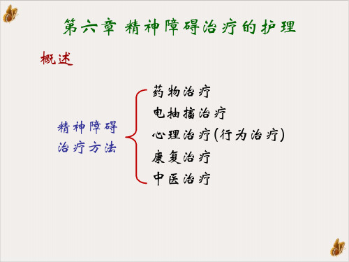 精神科护理级PPT课件
