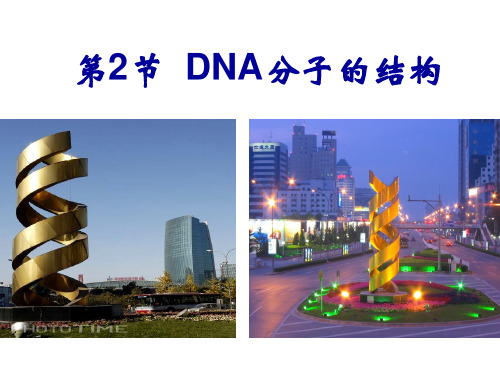 DNA分子的结构课件  高一下学期生物人教版必修2