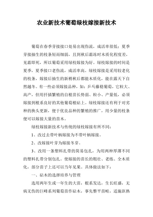 农业新技术葡萄绿枝嫁接新技术