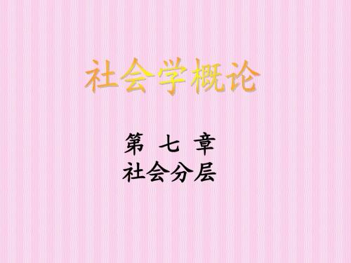 07 社会分层