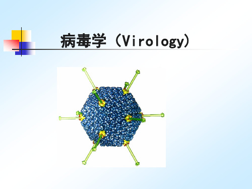 第一章 病毒的结构