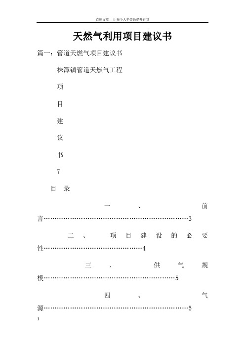天然气利用项目建议书