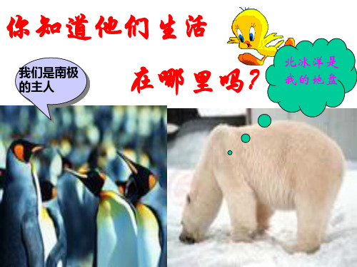 人教版地理七下第十章《极地地区》课件(共36张PPT)