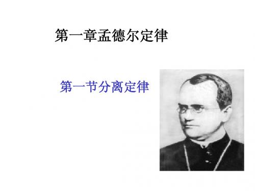 第一章孟德尔定律1