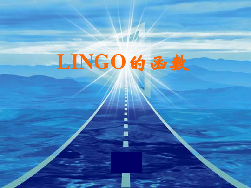 LINGO的函数