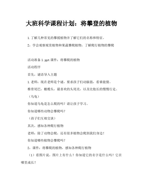大班科学教案：会爬的植物