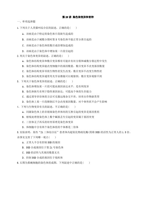 高中生物人教版    必修2染色体变异和育种 随堂检测