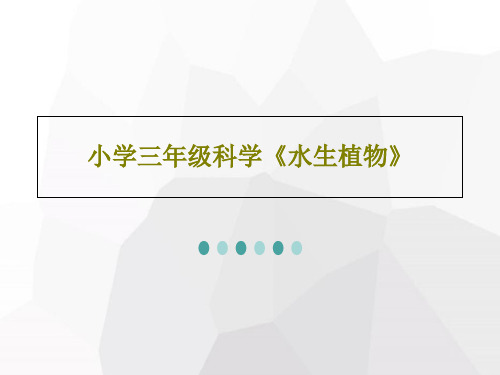 小学三年级科学《水生植物》20页PPT