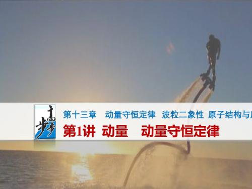 高考物理(江苏专用)大一轮复习讲义课件：第13章 第1讲   动量 动量守恒定律