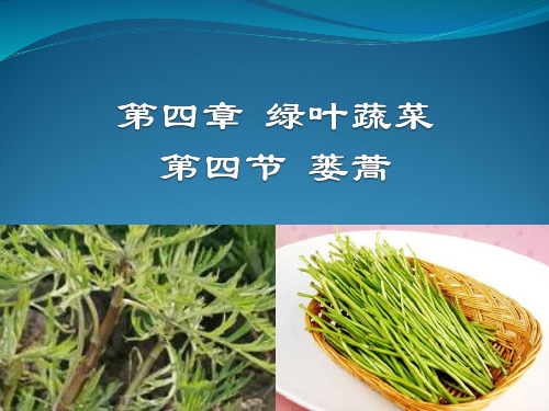 特种蔬菜蒌蒿生产技术